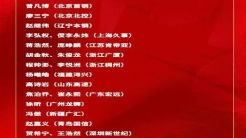 东契奇：篮球界的领袖之光，团队甘愿跟随的领航者